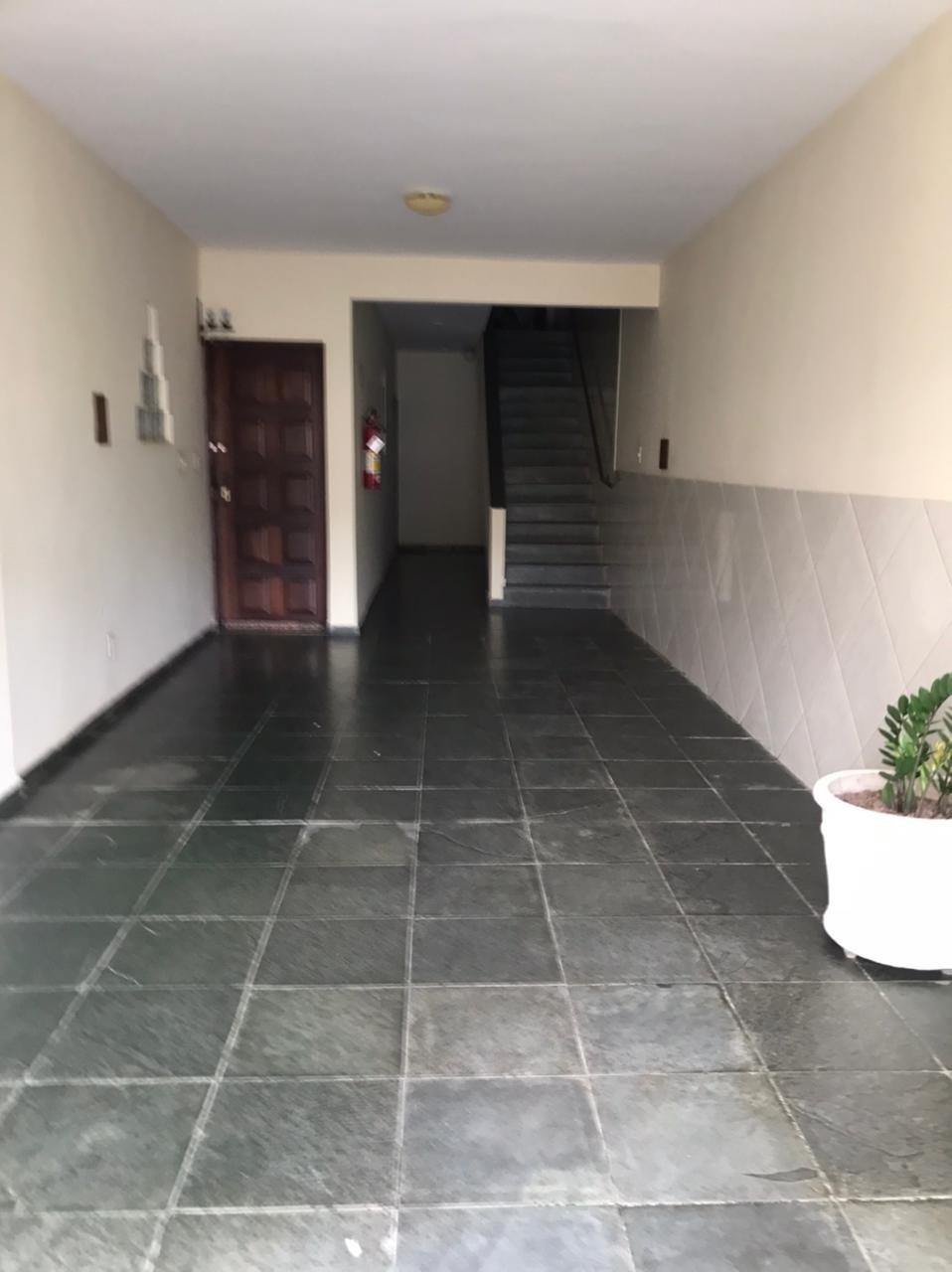Imagem da propriedade ANP7478 3