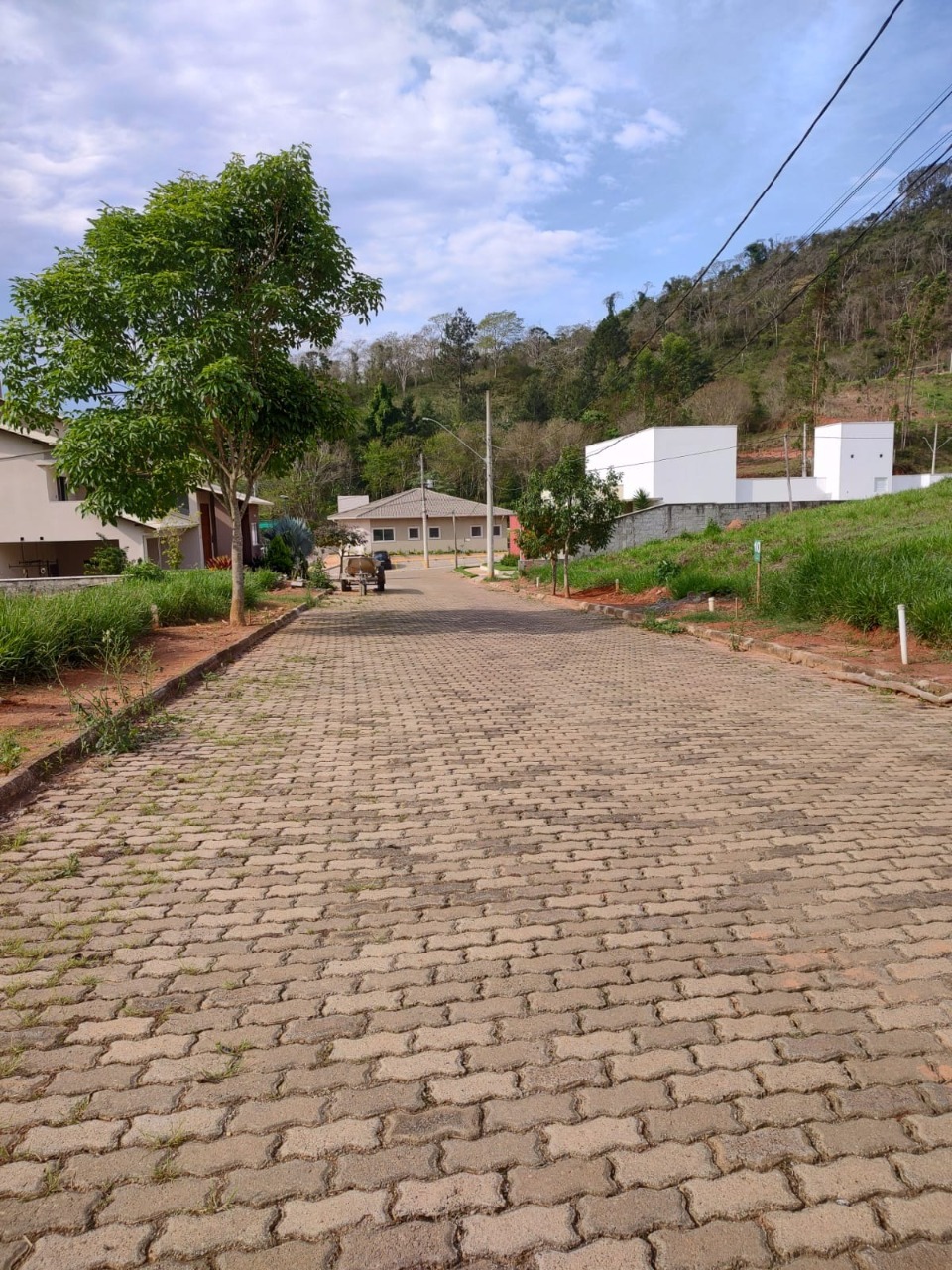 Imagem da propriedade ANP7758 2
