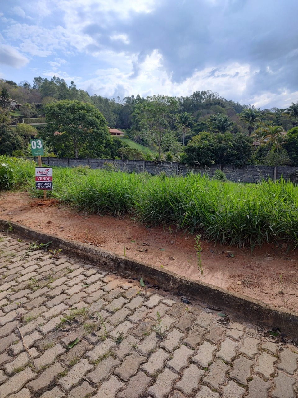 Imagem da propriedade ANP7758 4