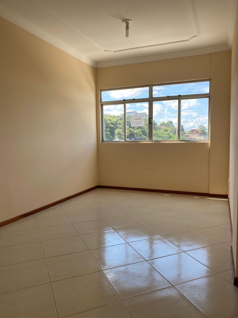 Imagem da propriedade ANP7833 2