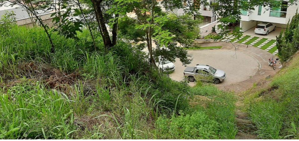 Imagem da propriedade ANP7844 1