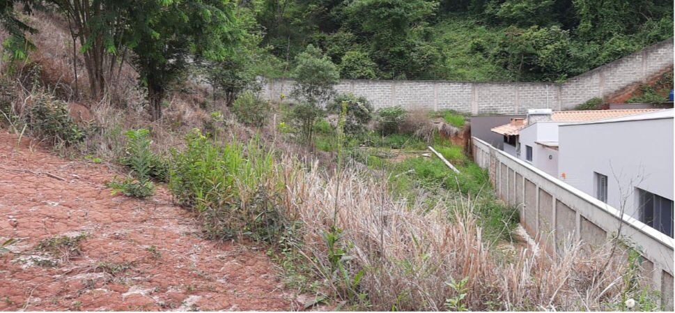 Imagem da propriedade ANP7844 2