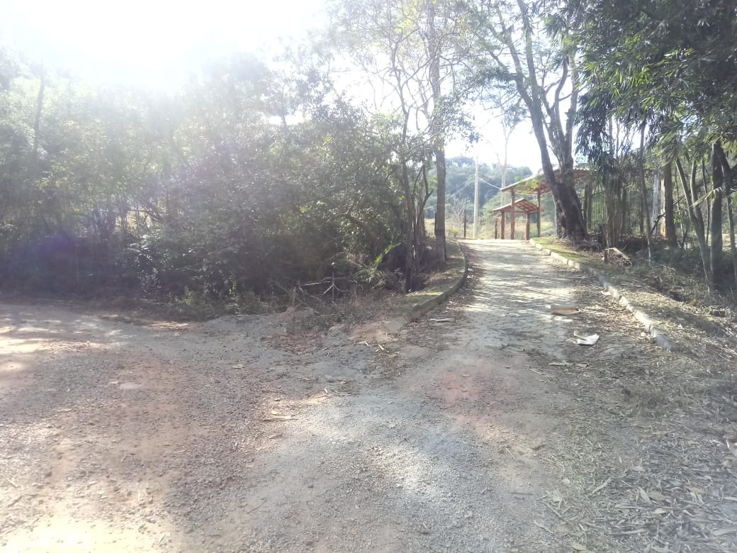 Imagem da propriedade ANP8241 5
