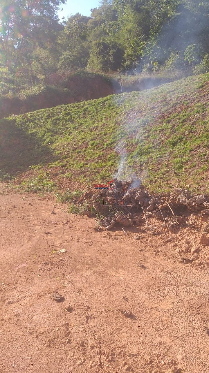Imagem da propriedade ANP8447 5