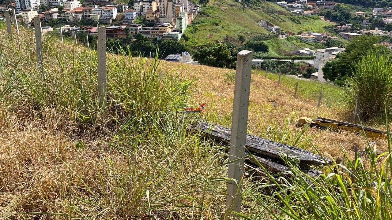Imagem da propriedade ANP8487 4