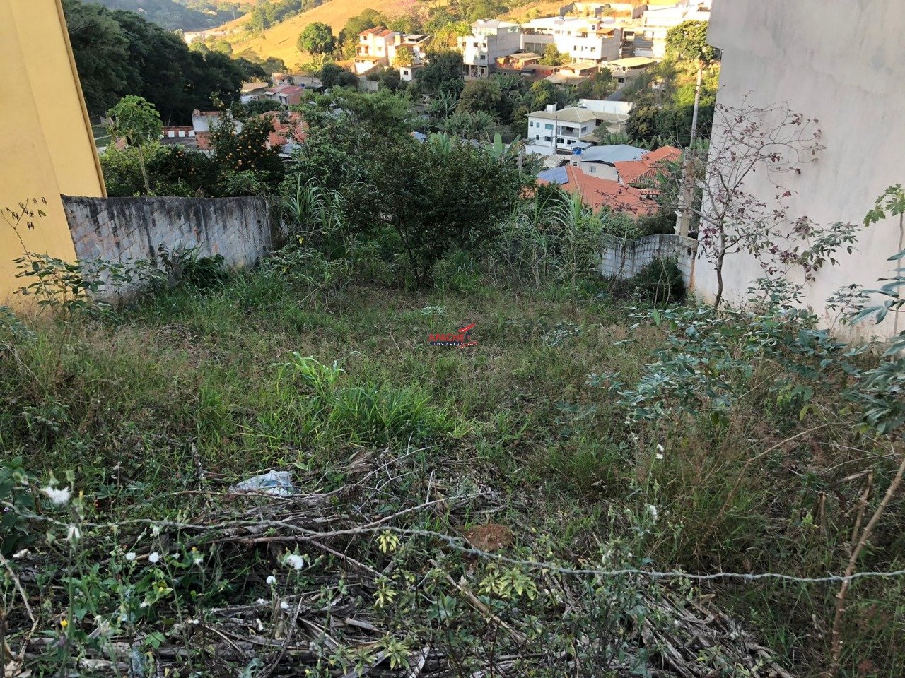 Imagem da propriedade ANP8600 2