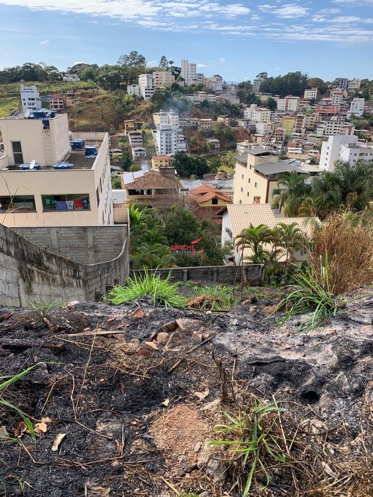 Imagem da propriedade ANP8606 3