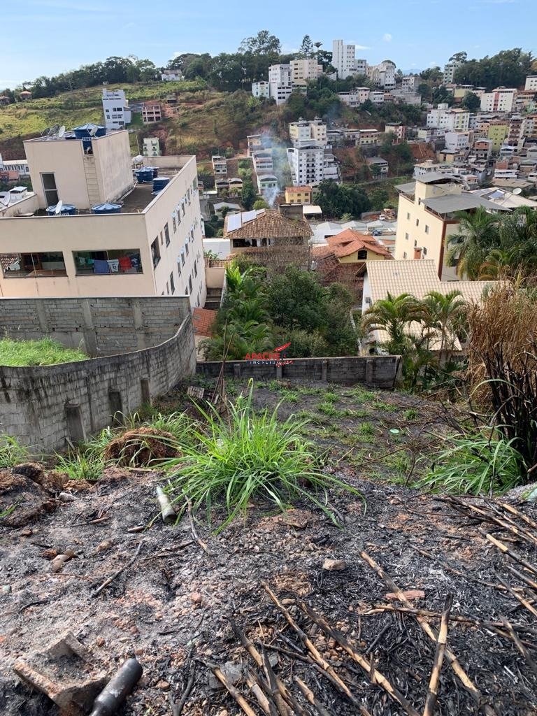 Imagem da propriedade ANP8606 4