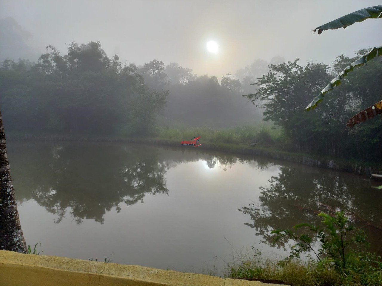 Imagem da propriedade ANP8672 41