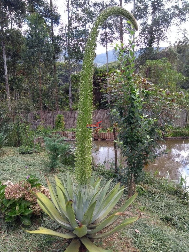 Imagem da propriedade ANP8680 2
