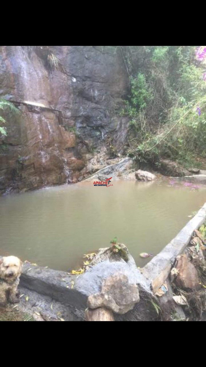 Imagem da propriedade ANP8680 4