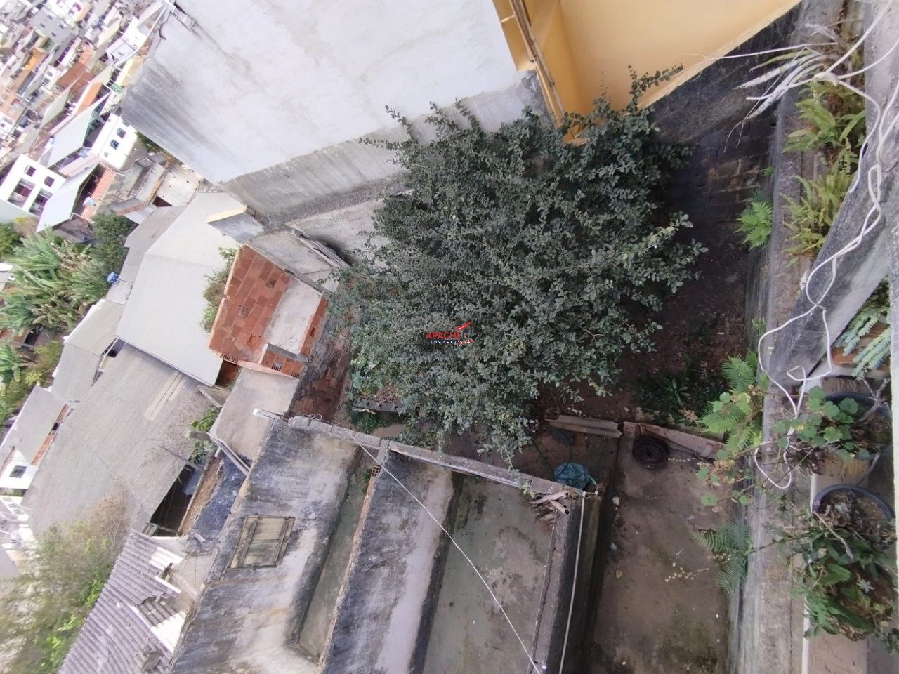 Imagem da propriedade ANP9066 6