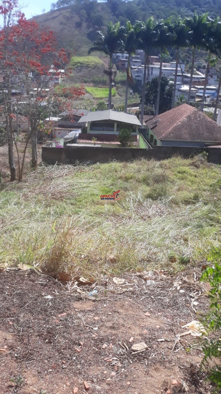 Imagem da propriedade ANP9085 3
