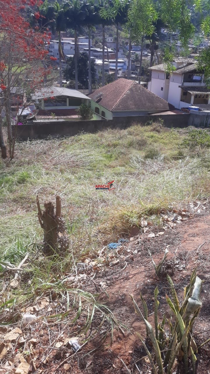 Imagem da propriedade ANP9085 4