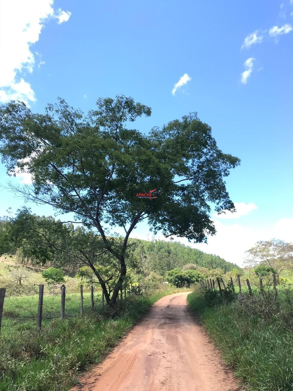 Imagem da propriedade ANP9124 5