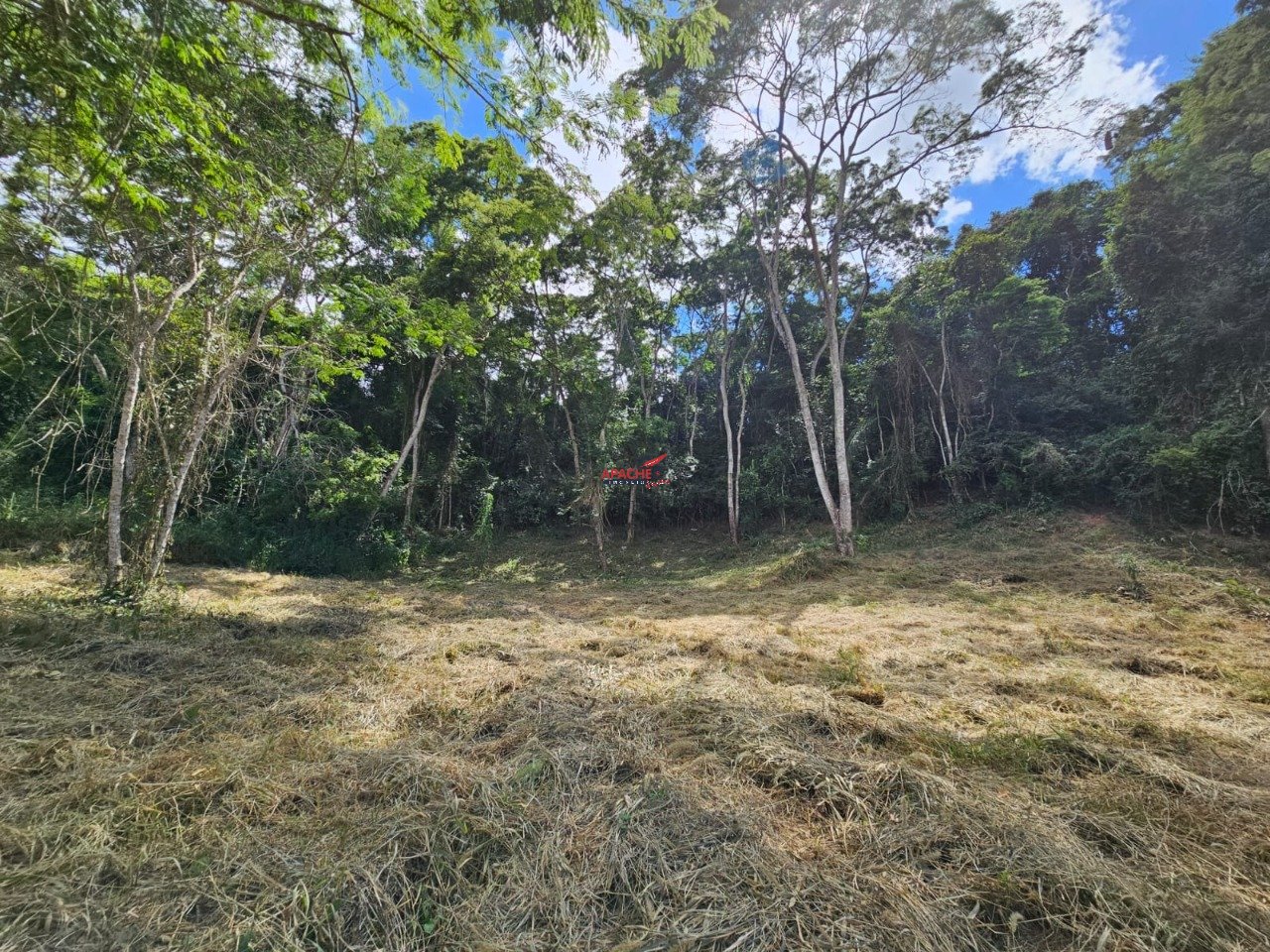 Imagem da propriedade ANP9218 5