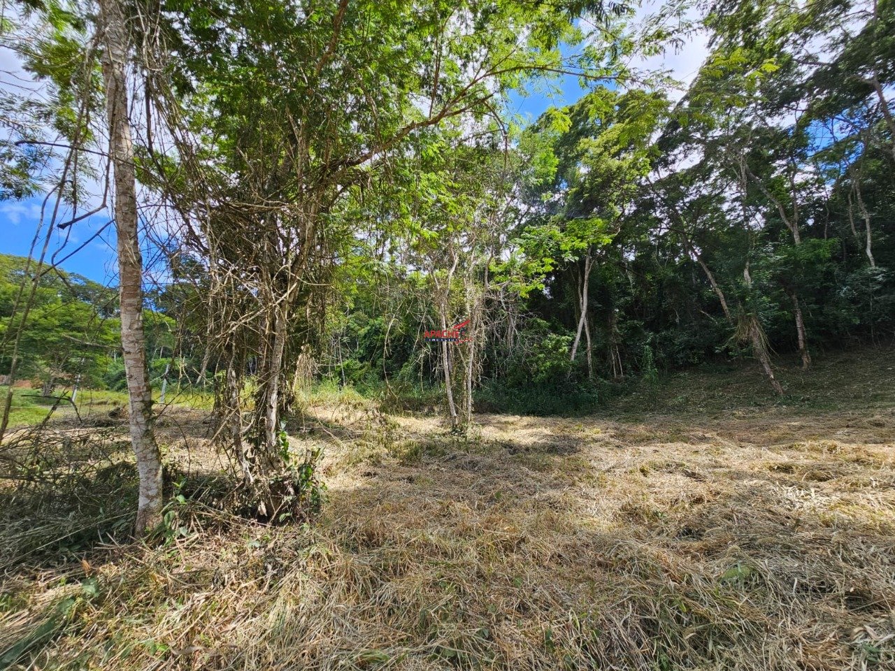 Imagem da propriedade ANP9218 6