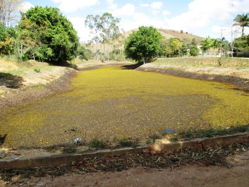 Imagem da propriedade ANP2732 3