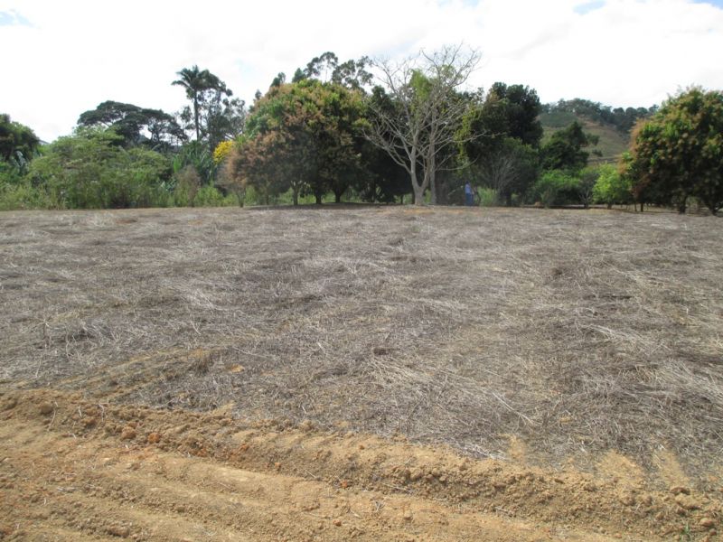 Imagem da propriedade ANP2732 5
