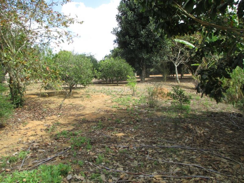 Imagem da propriedade ANP2732 7