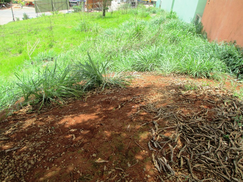 Imagem da propriedade ANP2953 3