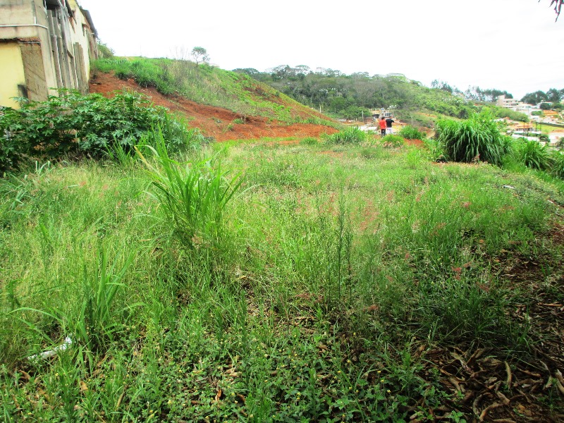 Imagem da propriedade ANP2953 1