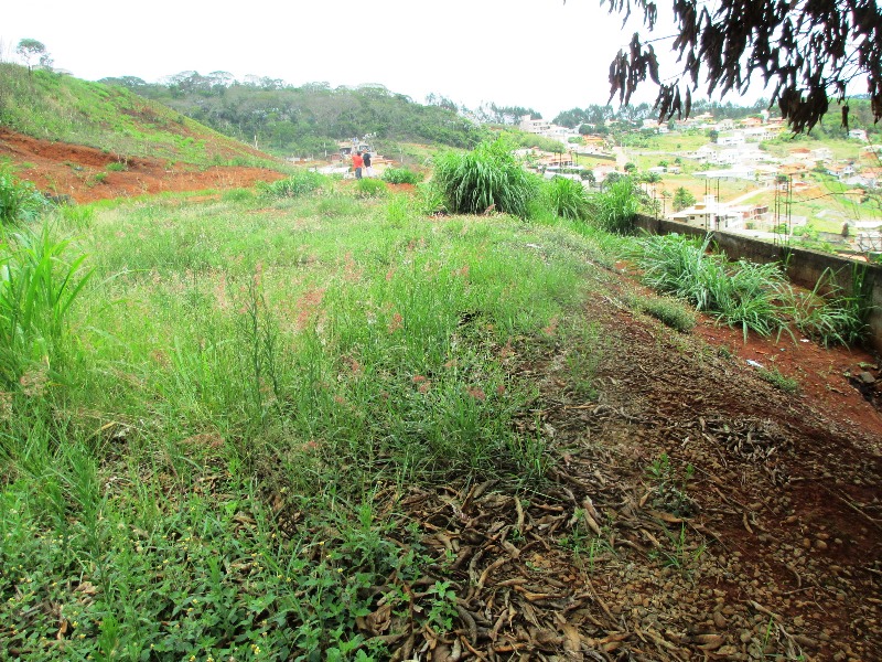 Imagem da propriedade ANP2953 4