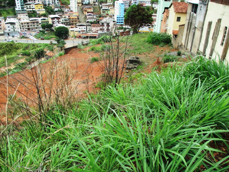 Imagem da propriedade ANP2953 5