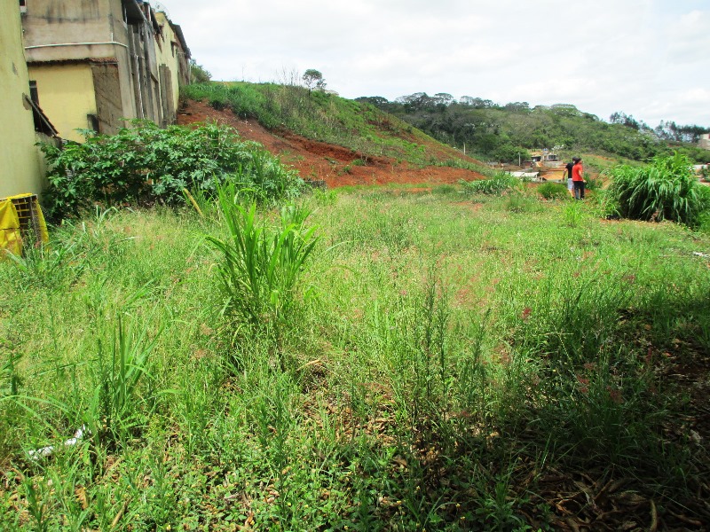 Imagem da propriedade ANP2953 6