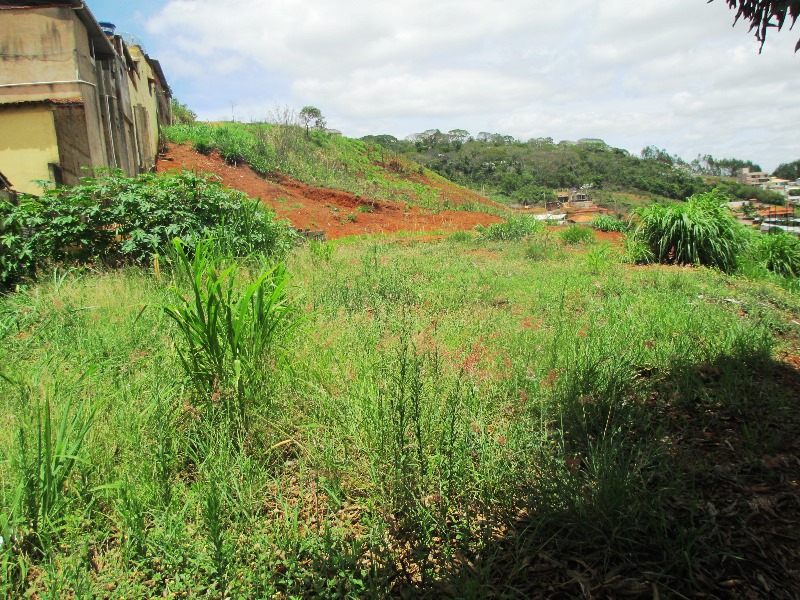 Imagem da propriedade ANP2953 10