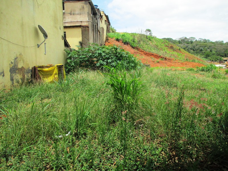 Imagem da propriedade ANP2953 11