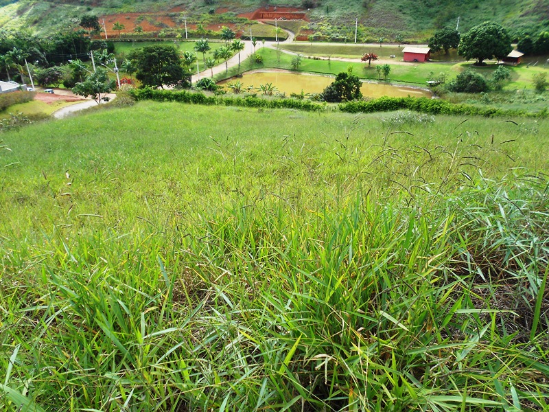Imagem da propriedade ANP3443 2