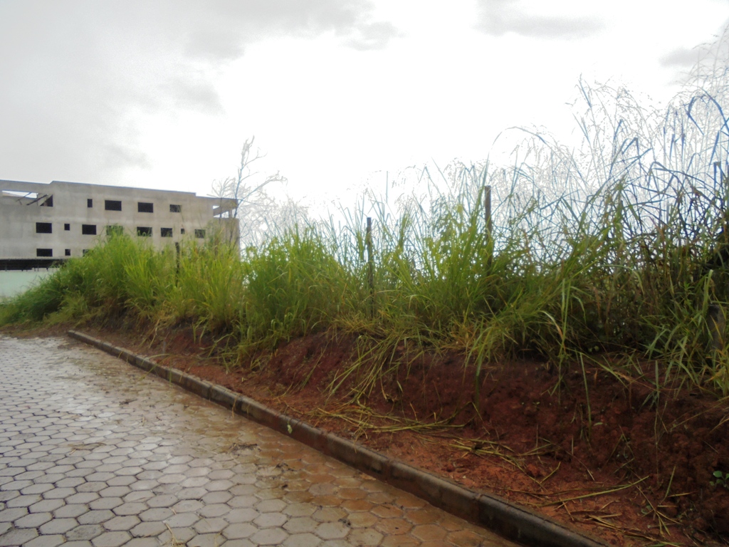 Imagem da propriedade ANP4270 2