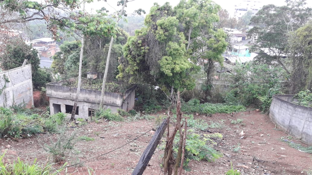 Imagem da propriedade ANP7152 1